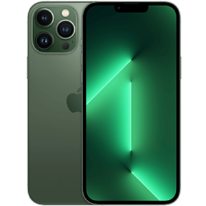 Apple iPhone 13 Pro Max Reparatur